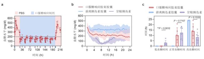 动物模型血糖被控长达一天，浙大团队制备口服胰岛素制剂，小鼠连续给药7天未出现低血糖