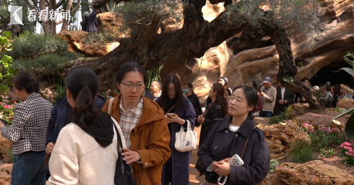 登山赏绿观文博 上海文旅新地标散发别样魅力