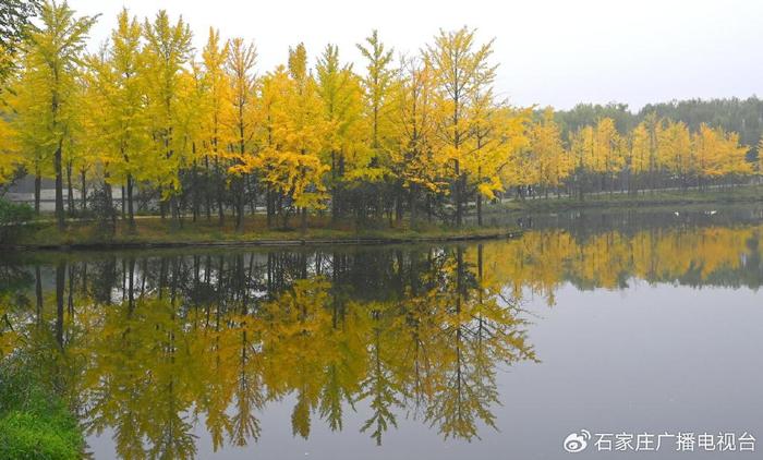 石家庄市植物园：秋色满园惹人醉