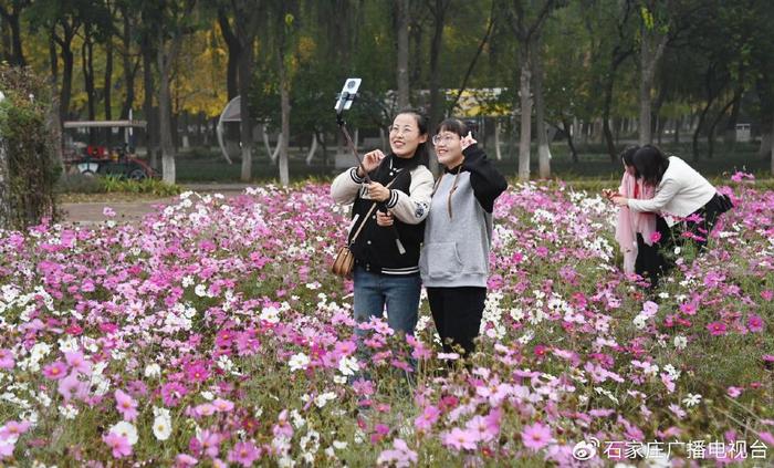 石家庄市植物园：秋色满园惹人醉