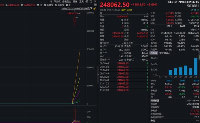 印度这只小盘股一天暴涨6692535%，创全球纪录！啥情况？