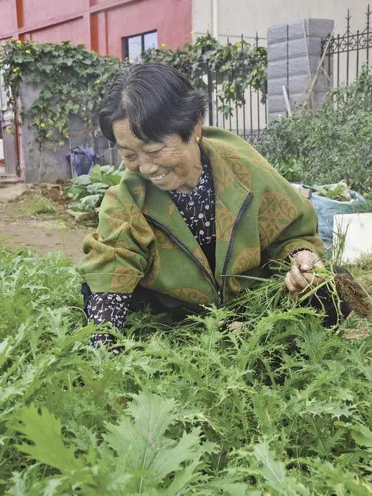 在哪办？靠谁办？钱怎么办？农村养老有实招