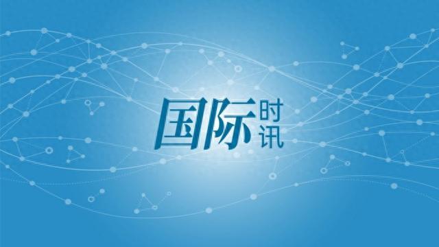 突发！“一支身份不明军队登陆绑架黎军官”