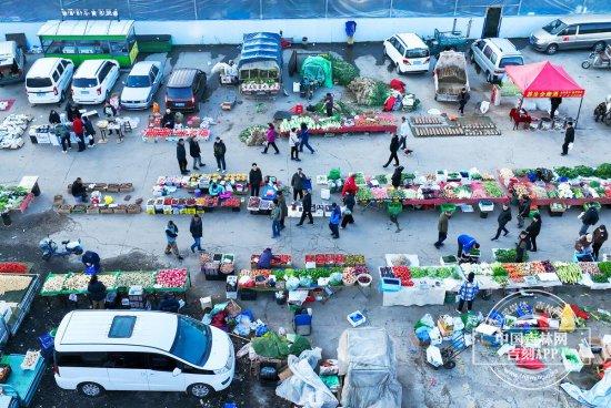 冬吉林·逛早市②｜逛不够的东岭南街早市