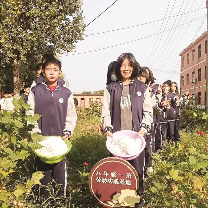 丛台区紫苑中学在学校专属劳动教育基地开展劳动教育活动