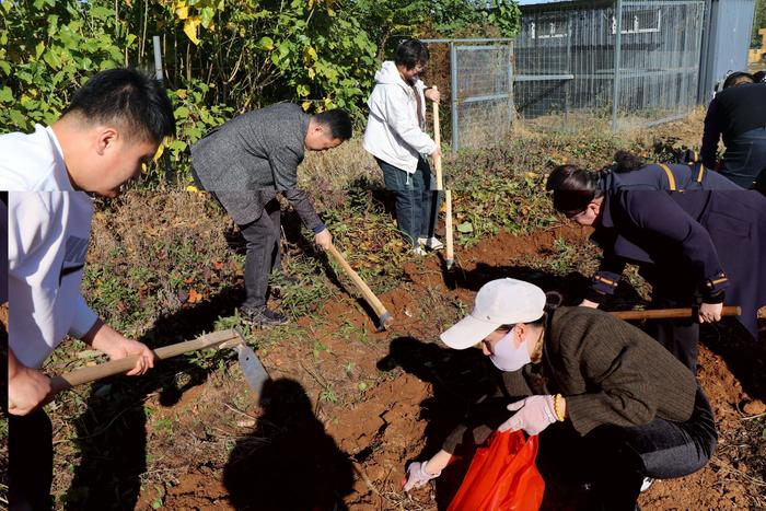 泰安市实验学校教育集团开展“综合实践+”幸福课程教研