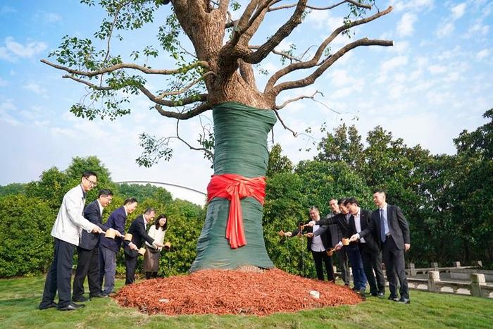 闵行校区生态林落成，上海交通“公园”大学再添新地标