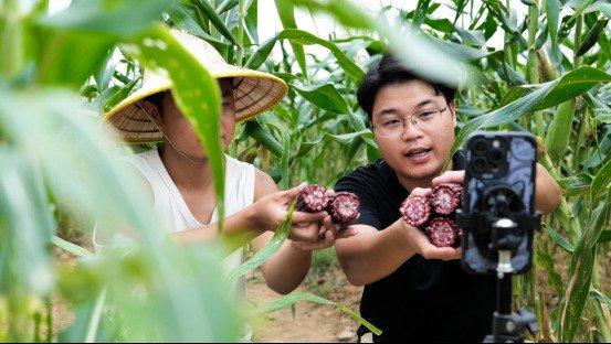 彭林：让徽州好物插上电商翅膀