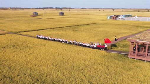 黑龙江富锦：锦色粮都秋收日 共筑无邪校园行