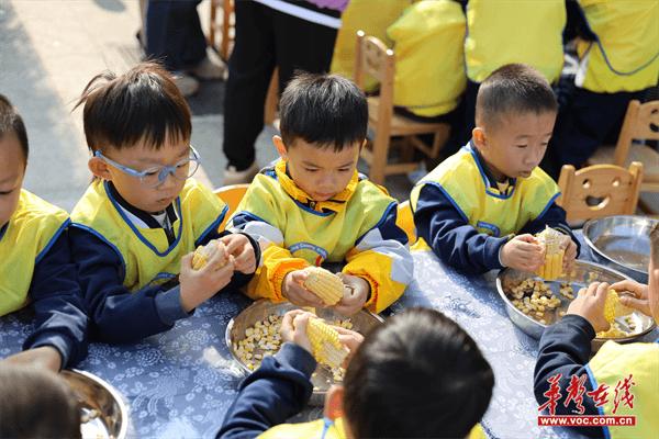 保靖县幼儿园：专业引领促提升 精准赋能助成长