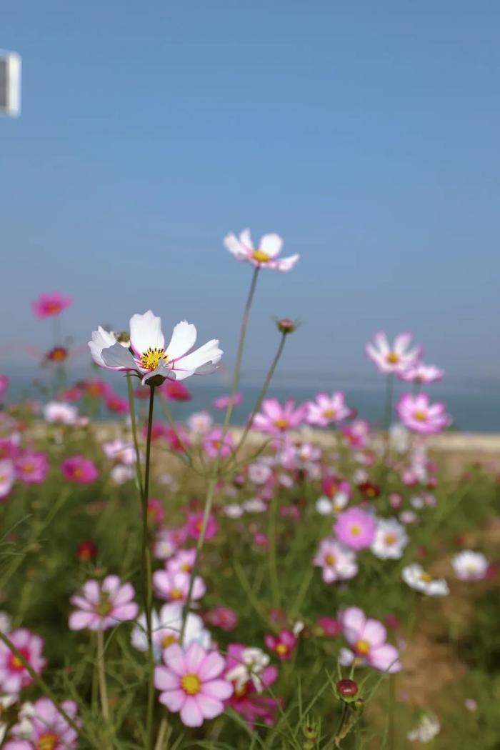 长沙新晋网红打卡地，它就是……