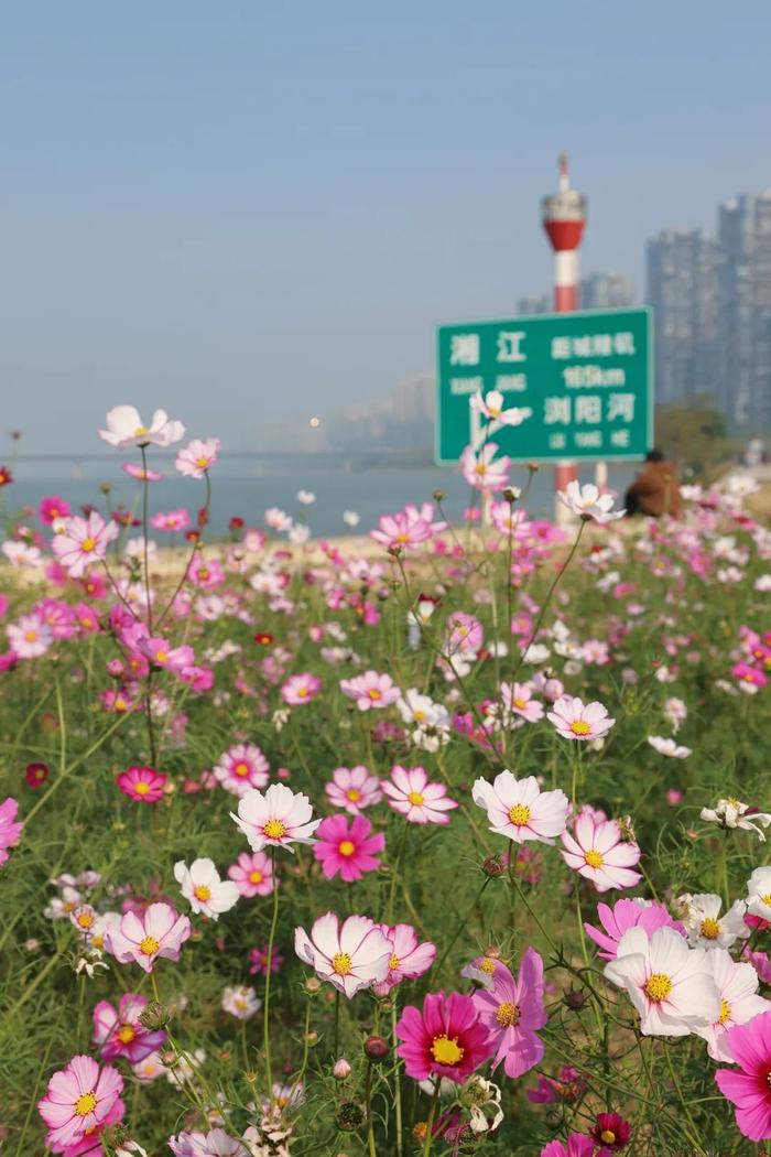 长沙新晋网红打卡地，它就是……