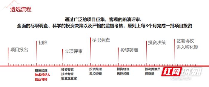 5.05亿！全国首支大学生创业投资基金申报渠道开通，学生几乎无门槛