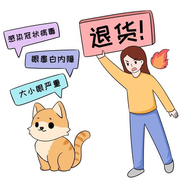 “法官，请你看看我的猫”