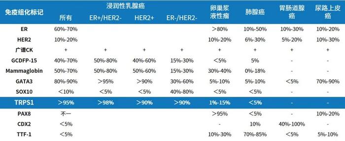 严选抗体 | TRPS1三阴性和转移性乳腺癌高特异性标志物(图1)