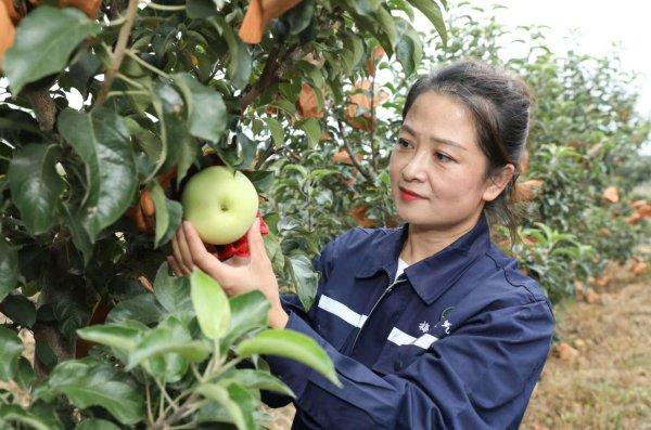 强国复兴有我 点赞吉林劳模㊹｜赵杰：梅河燃气核算数据的“把关人”