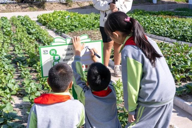 稻香缭绕中的“文明课堂”！让我们携手共赴一场田野之约→