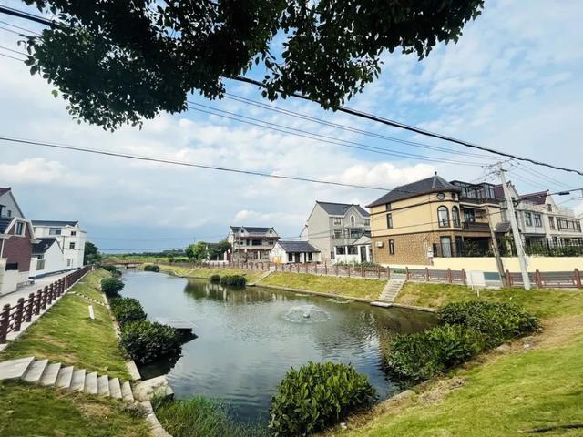 一大波水清岸绿实拍图来咯，就在闵行这里