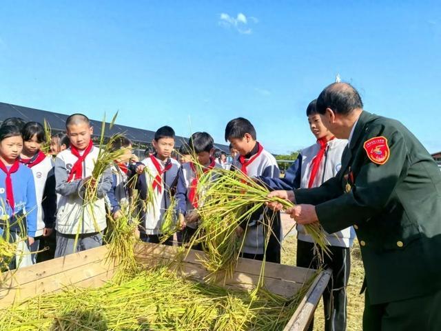 稻田课堂开讲！这一次，他们还约了老兵爷爷