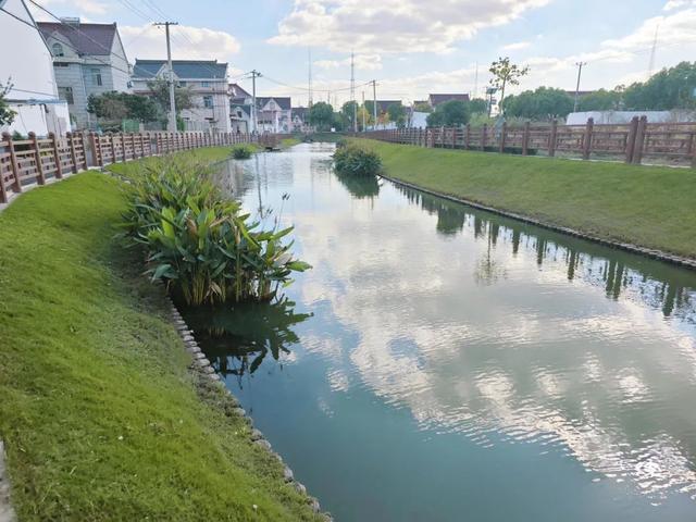 一大波水清岸绿实拍图来咯，就在闵行这里