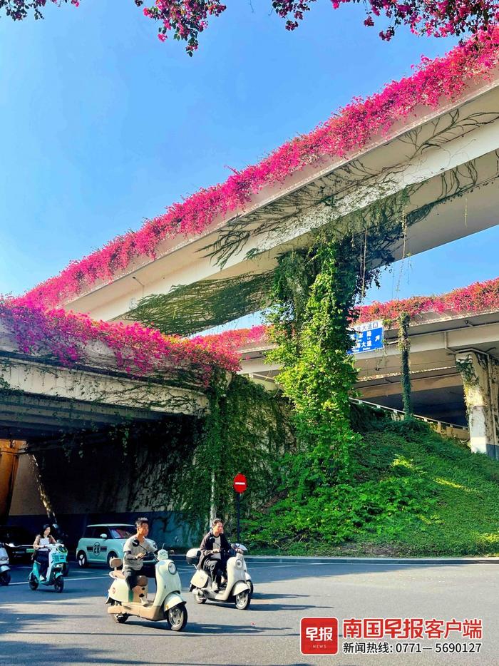 受台风“桃芝”影响，广西局地或有弱降雨