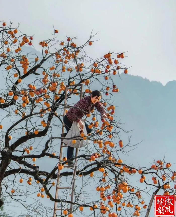 这里是歙（Shè）县，一座没有屋顶的徽文化大地艺术馆