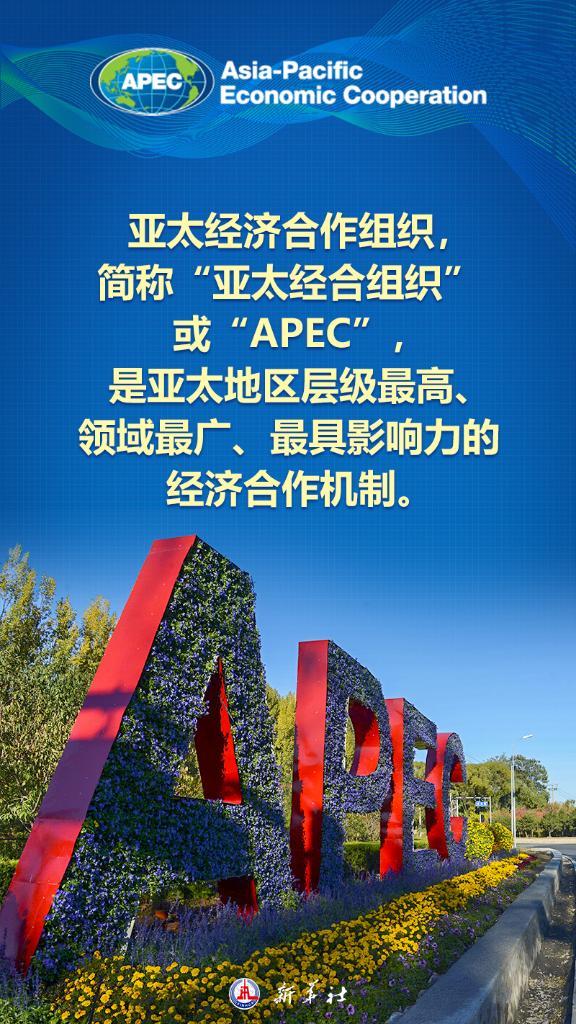 海报丨九张图带你了解APEC