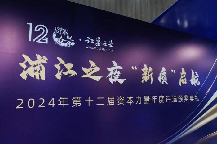 闻泰科技荣获“资本力量2024年度优秀上市公司奖”，高质量发展获资本市场认可