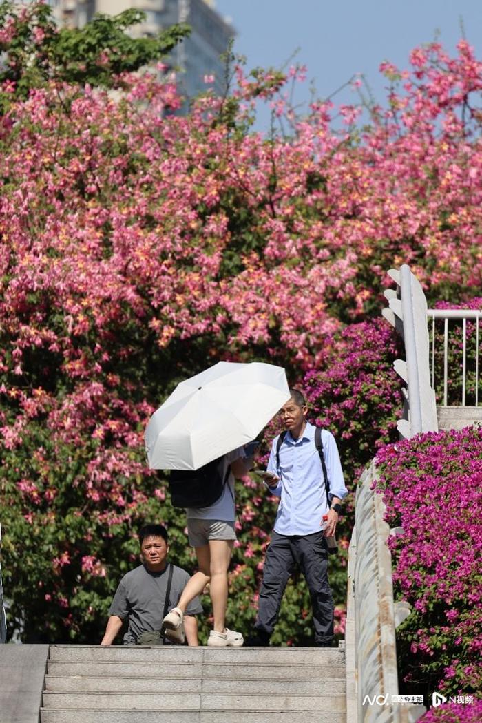 广州今日刷新最长夏天纪录，气象部门披露原因！午后或有小雨