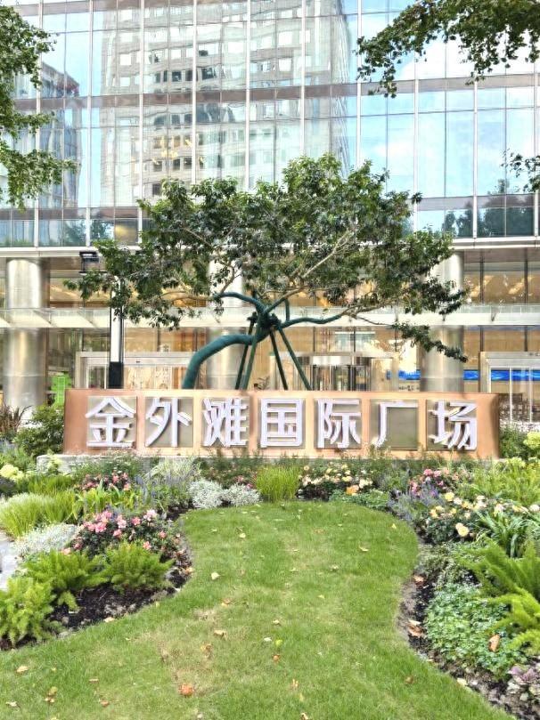 外滩金融集聚带楼宇群中，多了一片开放的“城市绿洲”！