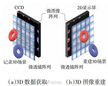 3D电影背后的科学原理