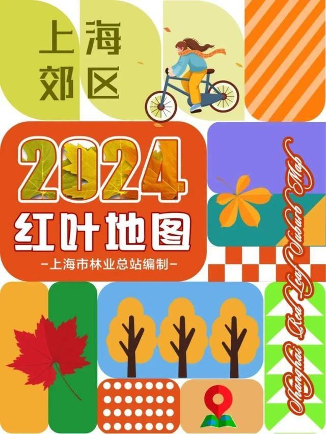 2024郊区红叶地图来了！快收藏打卡！