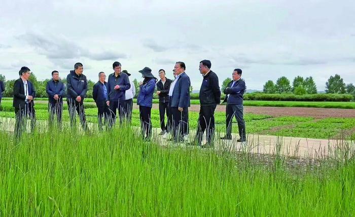 心怀国家粮食安全 扛起民族种业振兴担当责任