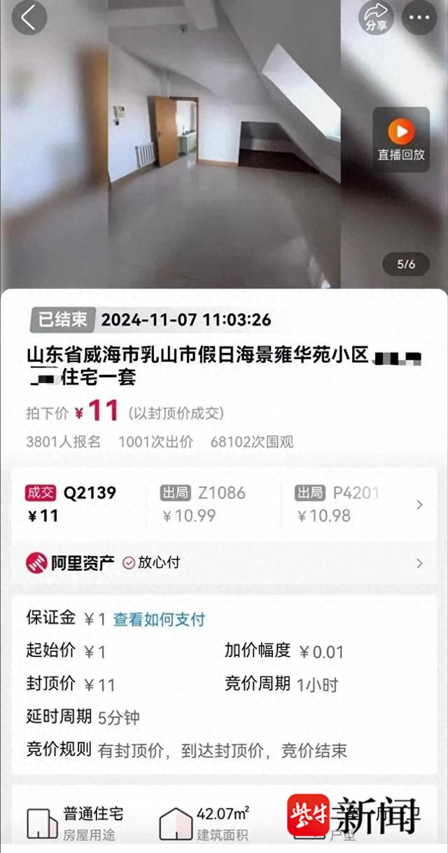 “双十一”用11元买到海景？业内人士揭秘：网友跟风拍卖易被坑