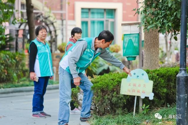 让宠爱与文明“双向奔赴”！松江持续深化文明养宠风尚培育