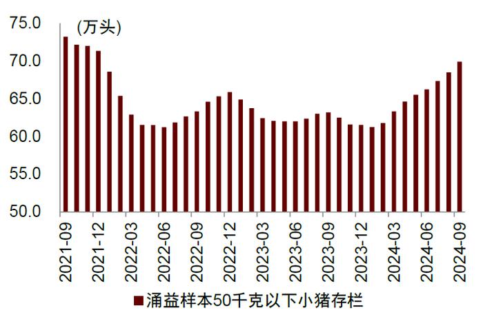 中金2025年展望 | 农林牧渔：范式革新，强者更强