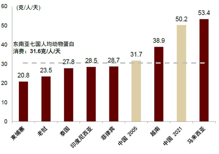 中金2025年展望 | 农林牧渔：范式革新，强者更强