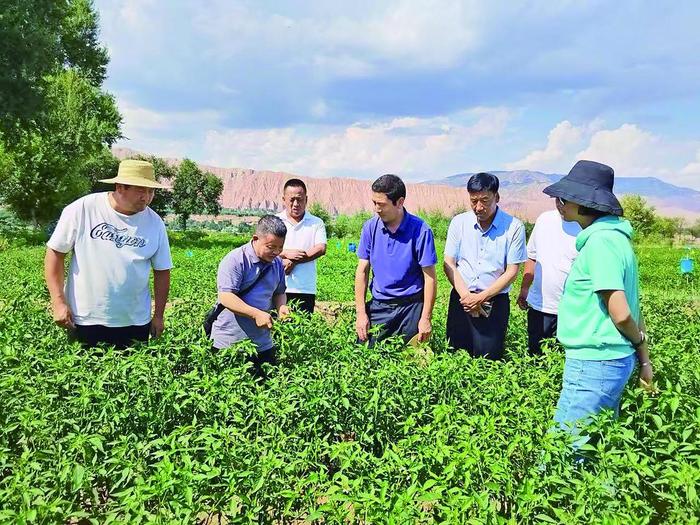 心怀国家粮食安全 扛起民族种业振兴担当责任