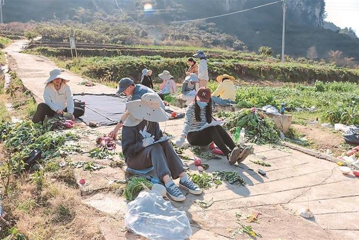 土里栽“芯片” 种业新活力