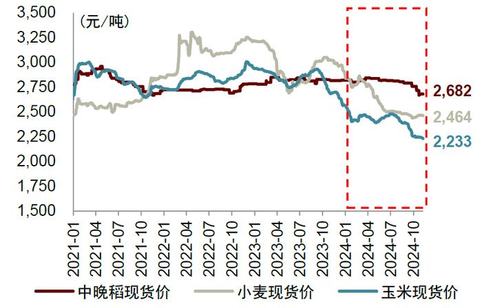 中金2025年展望 | 农林牧渔：范式革新，强者更强