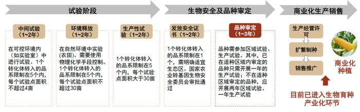 中金2025年展望 | 农林牧渔：范式革新，强者更强