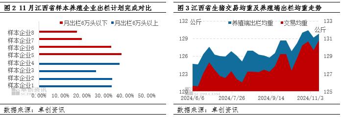 二次育肥出栏导致江西猪价跌至低位 后续反弹力度或有限