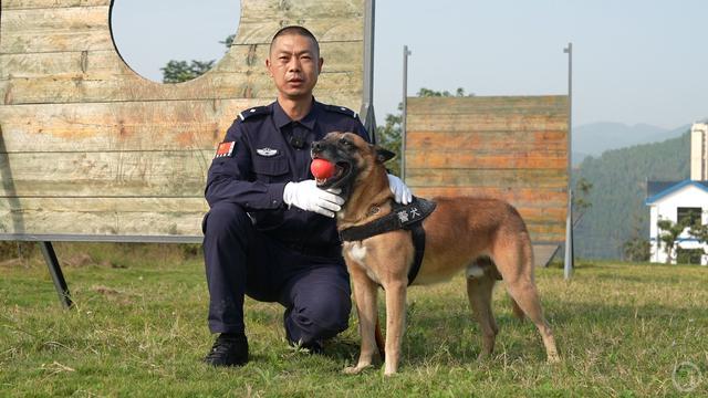 百姓记录｜功勋犬“号子”和它的“战友”老刘