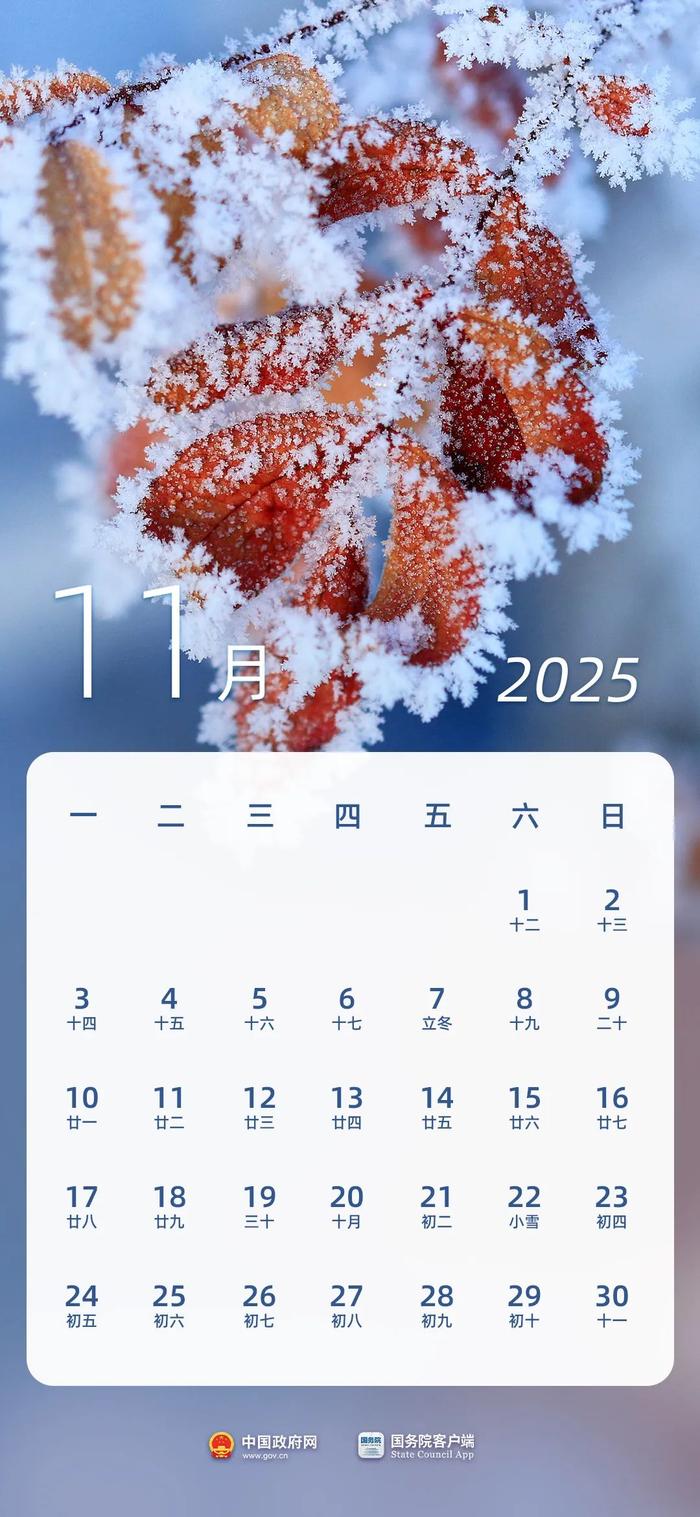 国务院办公厅关于2025年部分节假日安排的通知