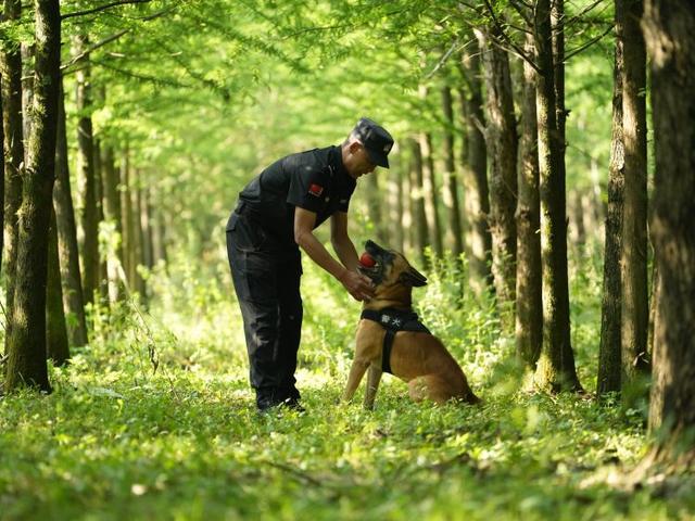 百姓记录｜功勋犬“号子”和它的“战友”老刘