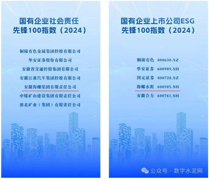 海螺集团入选“国有企业社会责任·先锋100指数（2024）”榜单