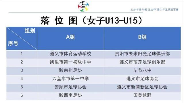 2024年贵州省“足协杯”青少年足球冠军赛激情开赛