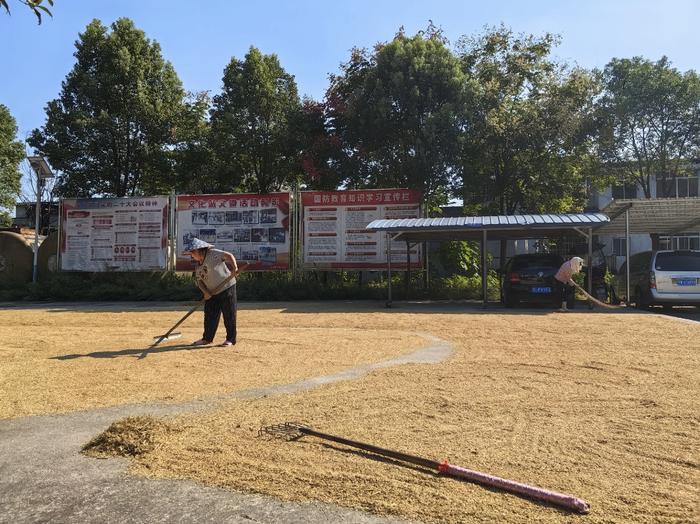 安徽舒城县政府大院“比小区还容易进” 居民称食堂馒头好吃 当地称给百姓行方便正常