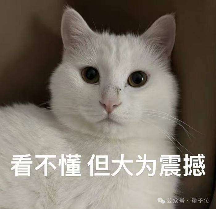 打破纪录！中国科学家让薛定谔的猫活了23分钟