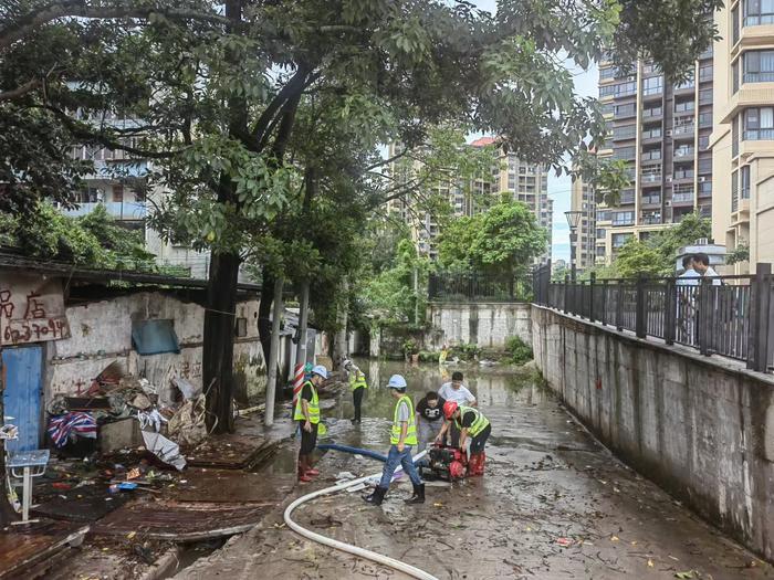 惠及9万人！ 惠州西枝江堤防达标加固工程（永良围惠城区段）顺利通过竣工验收